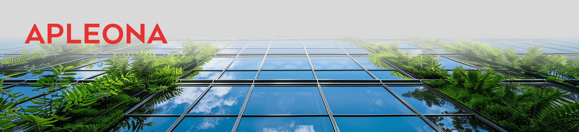 Apleona